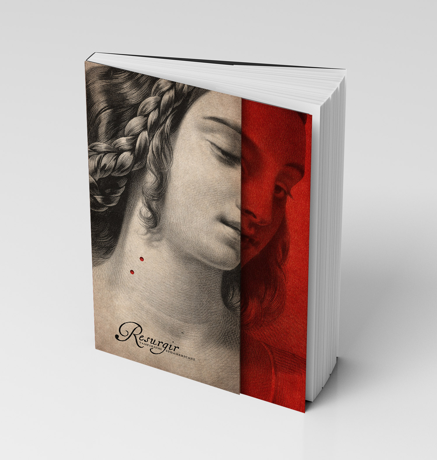 Blank,White,Vertical,Dust,Jacket,Or,Dust,Wrapper,Standing,Book.