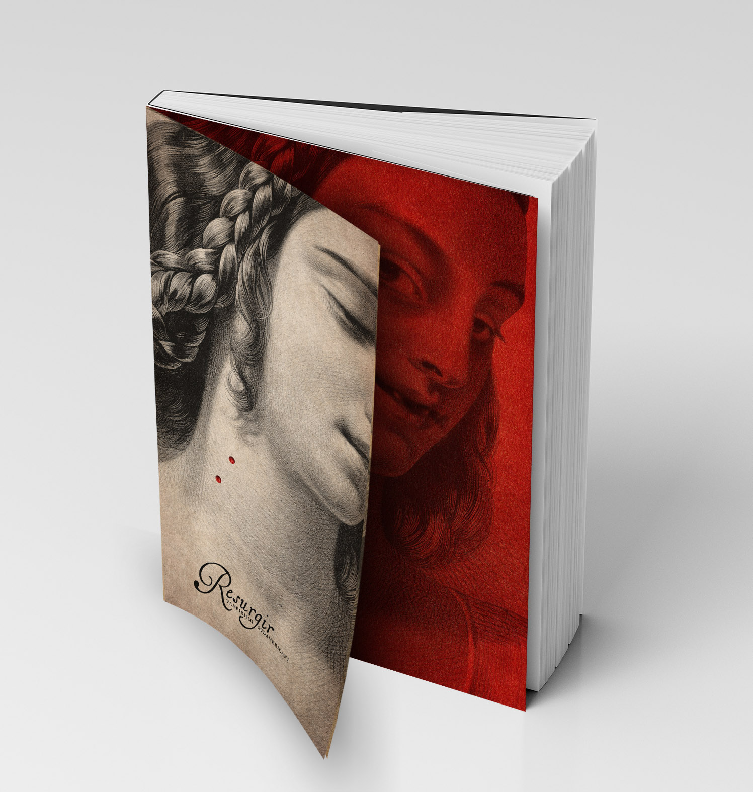 Blank,White,Vertical,Dust,Jacket,Or,Dust,Wrapper,Standing,Book.