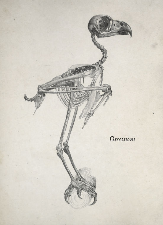 Screenshot 2023-09-22 alle 10.55.42